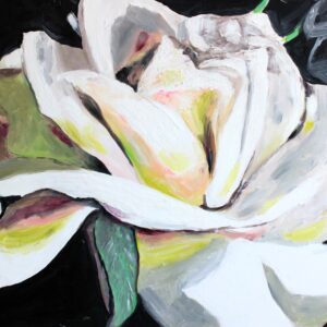 white flower rose everlasting green leaf black background